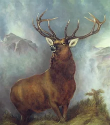 Der Monarch der Glen